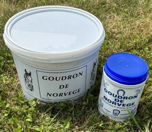 GOUDRON DE NORVEGE VISCOSITOL